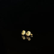 925 Silver Micro inlaid Round Earrings